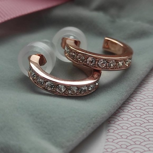 NEW Ted Baker Seanna Crystal Small Hoop Earrings - Picture 8 of 11